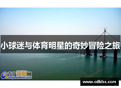 小球迷与体育明星的奇妙冒险之旅
