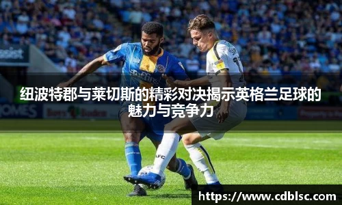 纽波特郡与莱切斯的精彩对决揭示英格兰足球的魅力与竞争力